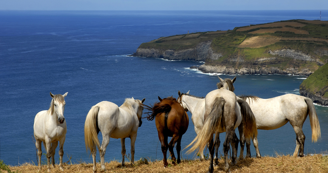 Azores On Travel Solutions