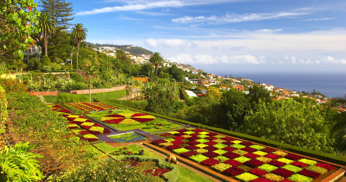 Madeira On Travel Solutions